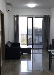 Lakeville (D22), Condominium #150537442